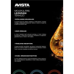 Avista Pace GER FS 10W-40 4L